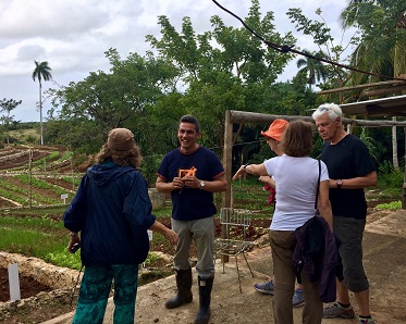 Cuban Farm