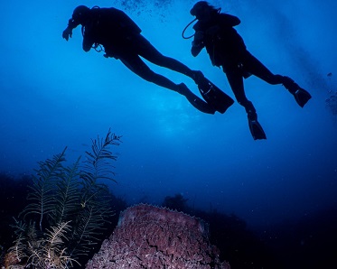 Diving Cuba