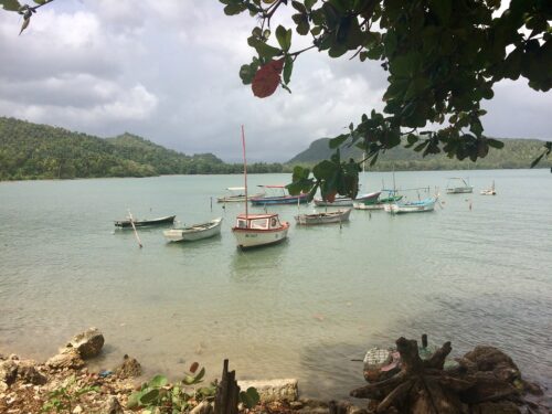 Cuban boats